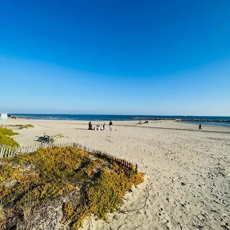 Perle Rare Acces Direct A La